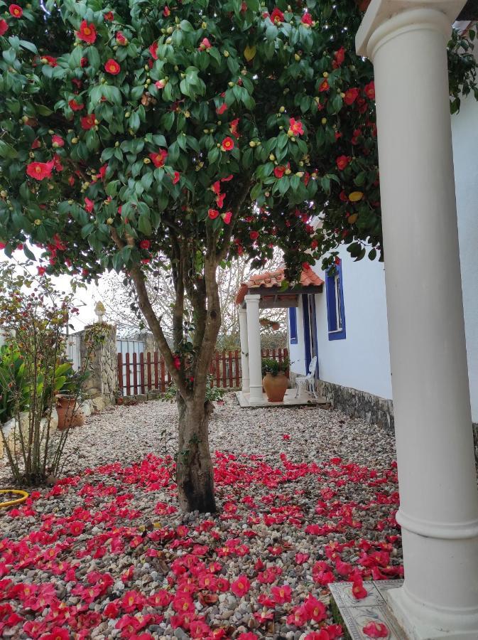 Auberge de jeunesse Fazenda Do Marante à Tomar Extérieur photo